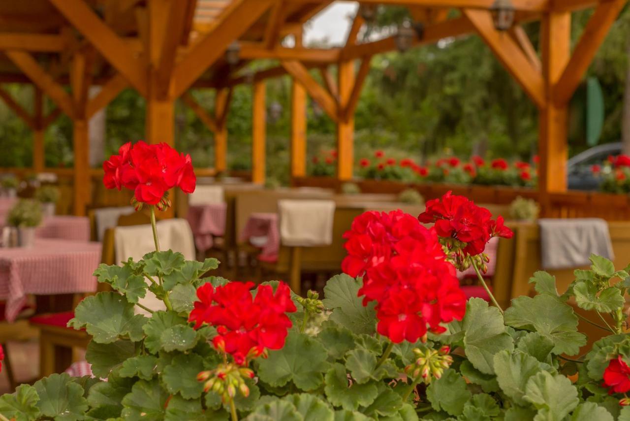 Lipicai Hotel Es Etterem Szilvásvárad エクステリア 写真
